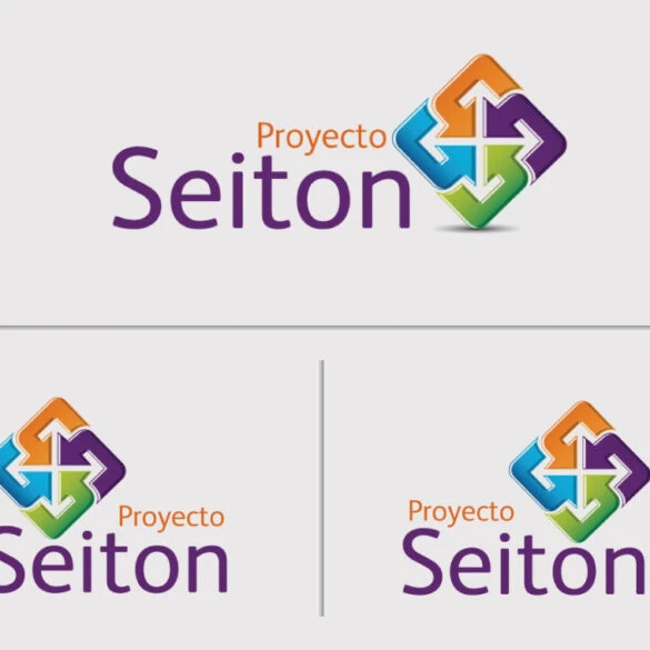 Branding logo identity seiton project becoome design