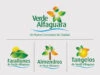 Branding and Identity Creation