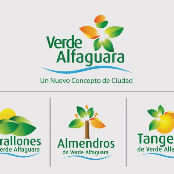 Branding and Identity Creation